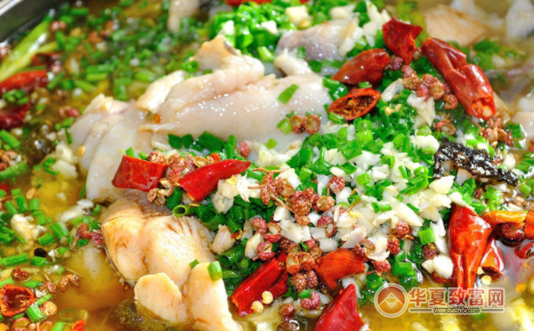 老太婆酸菜鱼加盟